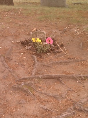 IMG_20130818_155732 (08-18-2013 15:57)