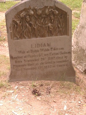 IMG_20130818_161033 (08-18-2013 16:10)