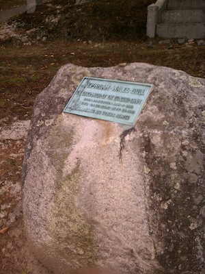 IMG_20130818_161914 (08-18-2013 16:19)