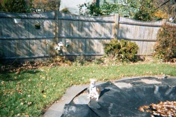 Emily sunning herself