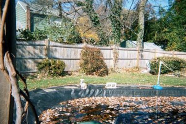 Emily sunning herself