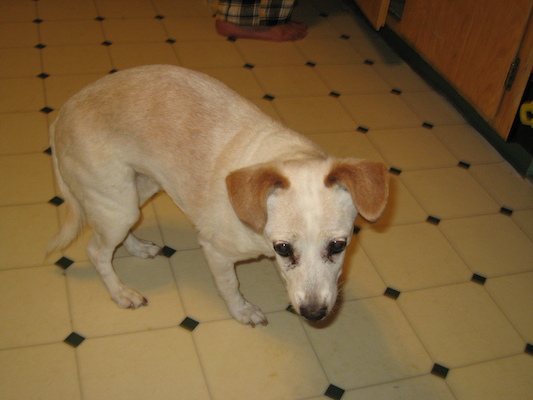 IMG_0009 (12-18-2011 09:52)