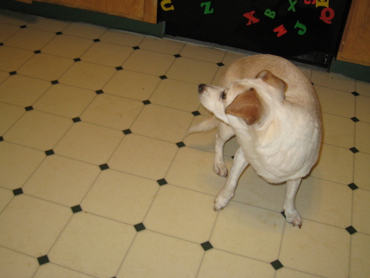 IMG_0010 (12-18-2011 09:52)