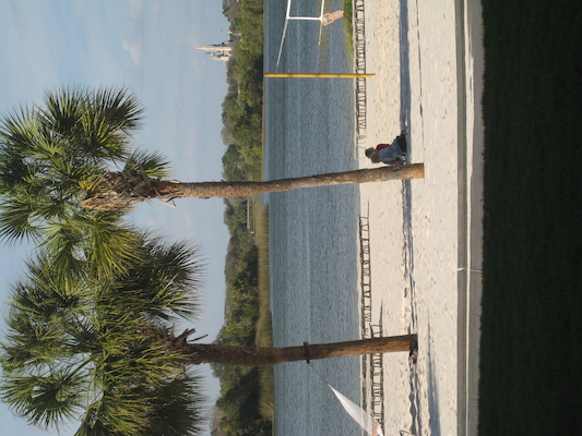 IMG_0025 (02-24-2012 17:23)