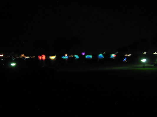 IMG_0038 (02-25-2012 22:03)