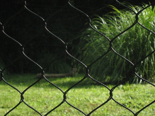 IMG_0161 (08-26-2012 09:46)