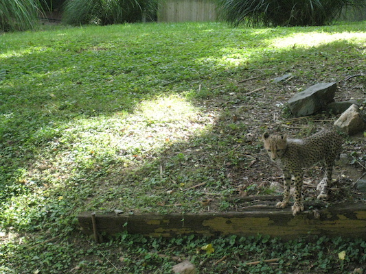 IMG_0162 (08-26-2012 09:47)