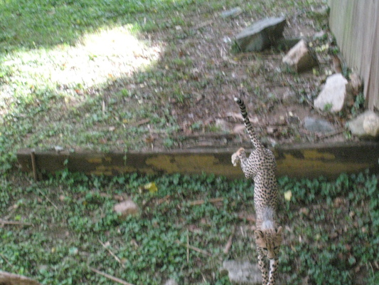 IMG_0163 (08-26-2012 09:47)