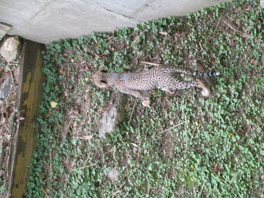 IMG_0165 (08-26-2012 09:49)