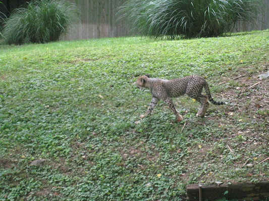 IMG_0166 (08-26-2012 09:50)