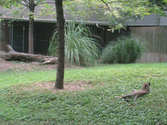 IMG_0167 (08-26-2012 09:50)