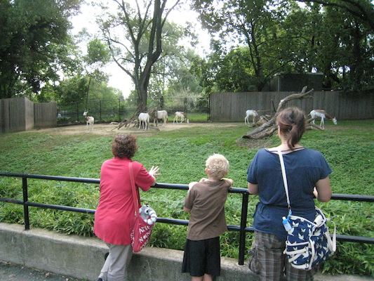 IMG_0172 (08-26-2012 09:58)