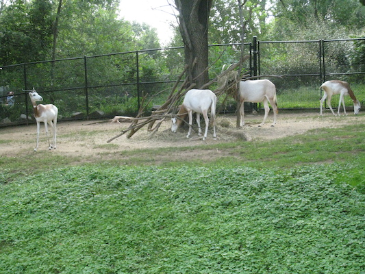 IMG_0173 (08-26-2012 09:59)