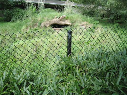 IMG_0175 (08-26-2012 10:02)