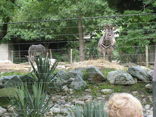 IMG_0178 (08-26-2012 10:06)