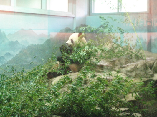 IMG_0179 (08-26-2012 10:20)