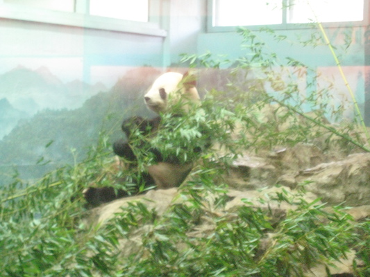 IMG_0180 (08-26-2012 10:20)