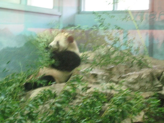 IMG_0181 (08-26-2012 10:21)