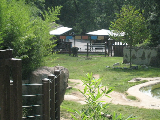 IMG_0183 (08-26-2012 10:28)