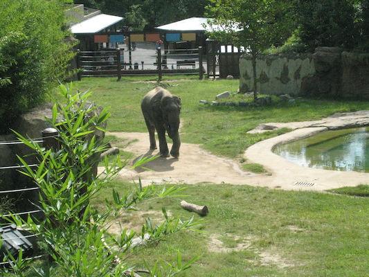 IMG_0184 (08-26-2012 10:32)