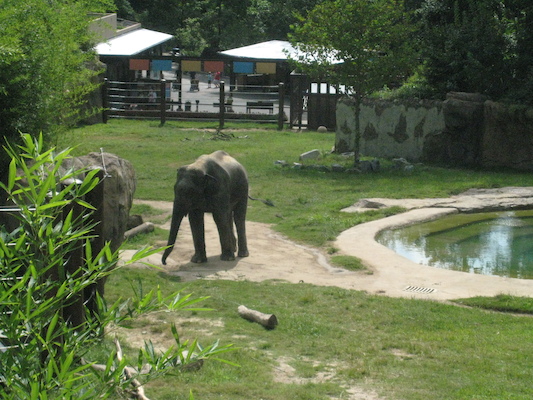 IMG_0185 (08-26-2012 10:32)