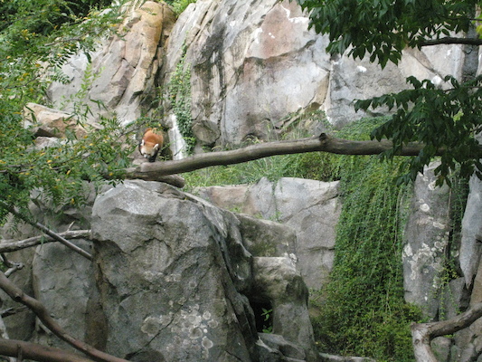 IMG_0187 (08-26-2012 10:38)