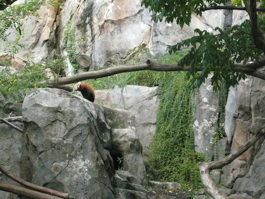 IMG_0188 (08-26-2012 10:38)