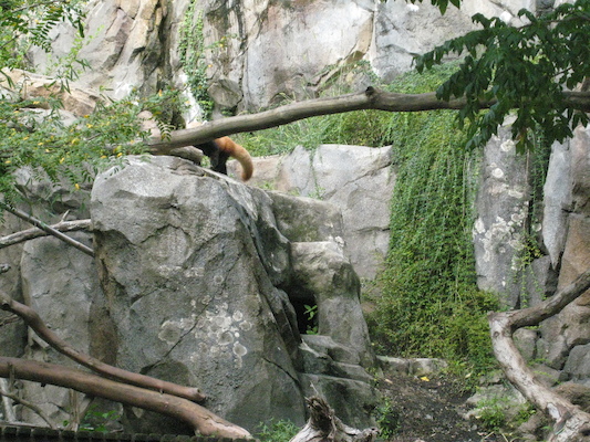 IMG_0189 (08-26-2012 10:38)