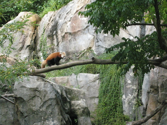 IMG_0190 (08-26-2012 10:38)