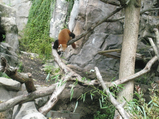 IMG_0191 (08-26-2012 10:38)