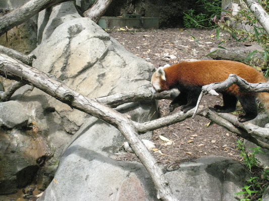 IMG_0192 (08-26-2012 10:39)