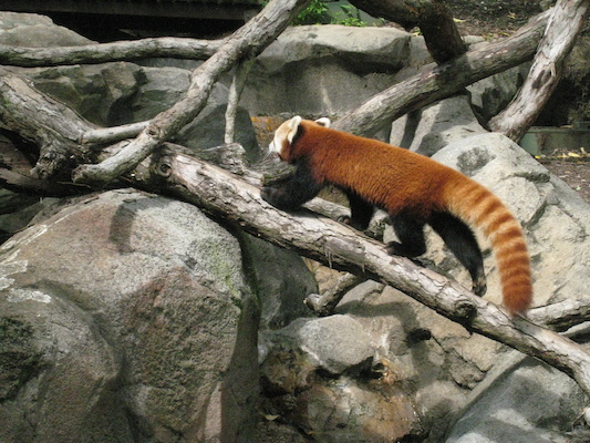 IMG_0193 (08-26-2012 10:39)