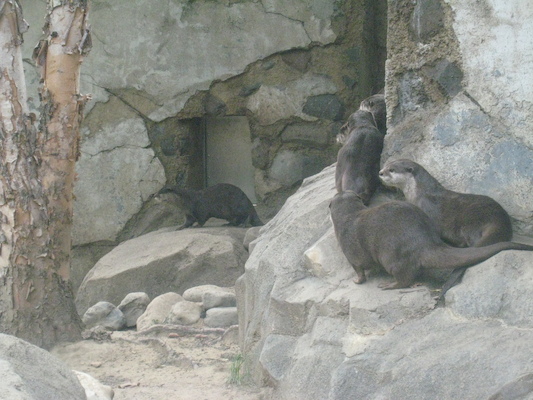 IMG_0194 (08-26-2012 10:47)