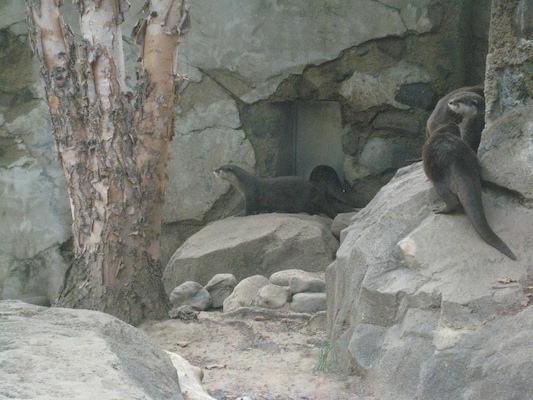 IMG_0195 (08-26-2012 10:47)