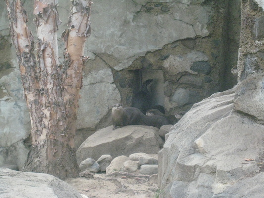 IMG_0196 (08-26-2012 10:47)