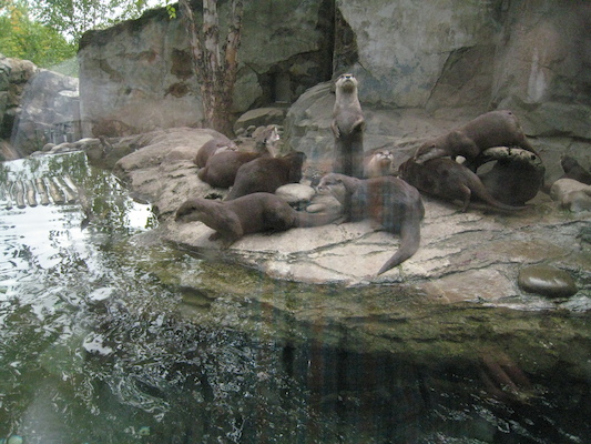 IMG_0198 (08-26-2012 10:48)