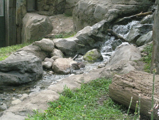 IMG_0199 (08-26-2012 10:49)