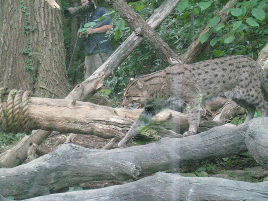 IMG_0201 (08-26-2012 10:52)