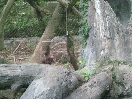 IMG_0202 (08-26-2012 10:53)