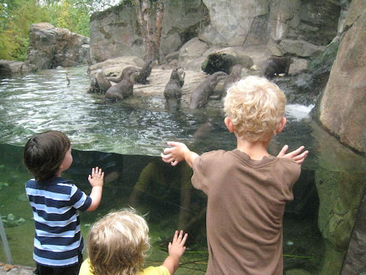 IMG_0203 (08-26-2012 11:00)