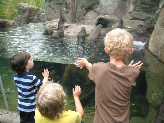 IMG_0204 (08-26-2012 11:00)