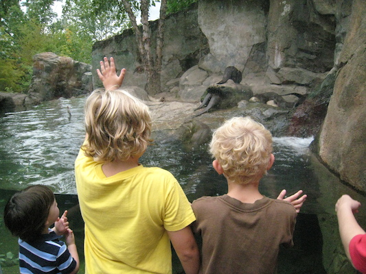 IMG_0205 (08-26-2012 11:00)