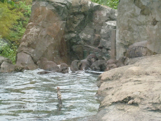 IMG_0206 (08-26-2012 11:01)