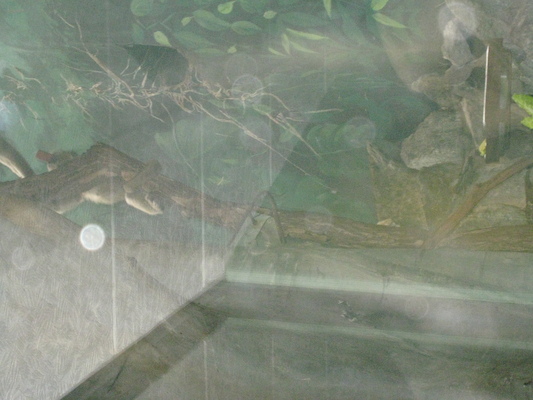 IMG_0207 (08-26-2012 11:14)