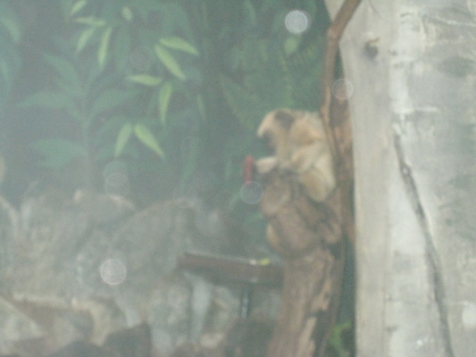 IMG_0208 (08-26-2012 11:15)