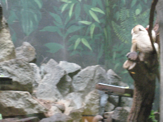 IMG_0209 (08-26-2012 11:15)