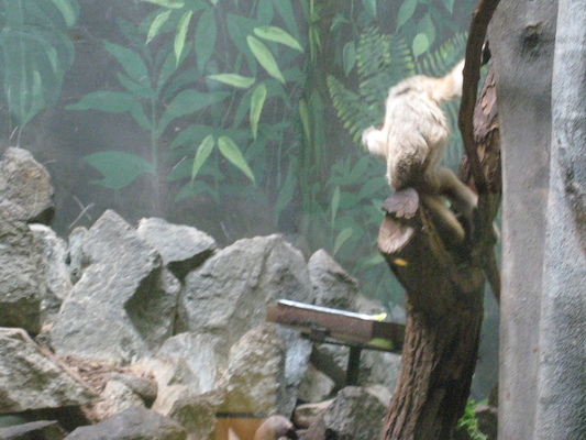 IMG_0210 (08-26-2012 11:15)