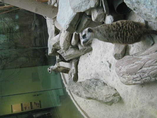 IMG_0211 (08-26-2012 11:15)