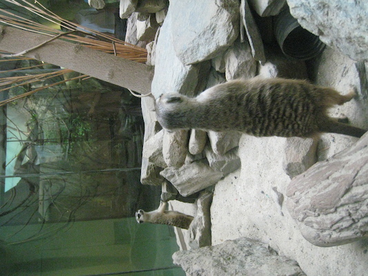 IMG_0212 (08-26-2012 11:16)