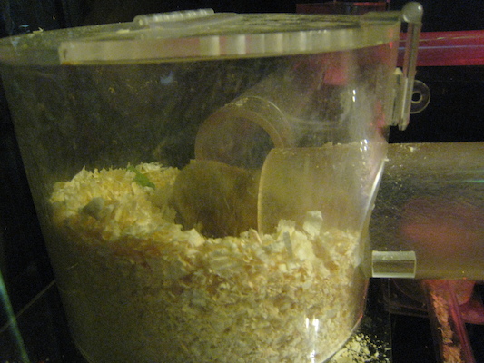 IMG_0213 (08-26-2012 11:17)